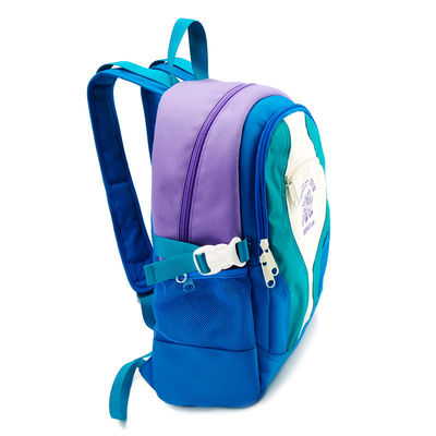 16.5 &quot; College Laptop Taschen, Gelegenheits Polyester Rucksack für Jugendliche